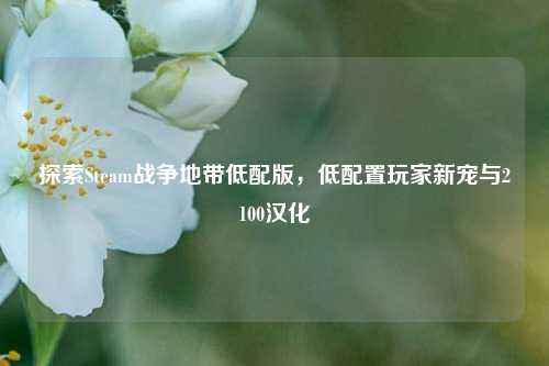 探索Steam战争地带低配版，低配置玩家新宠与2100汉化
