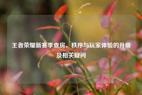王者荣耀新赛季查房，秩序与玩家体验的升级及相关疑问