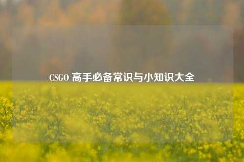 CSGO 高手必备常识与小知识大全