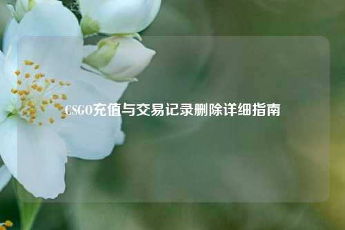 CSGO充值与交易记录删除详细指南