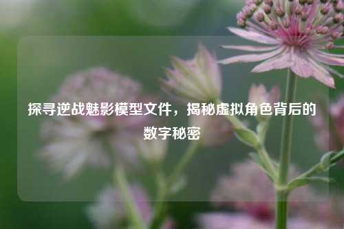 探寻逆战魅影模型文件，揭秘虚拟角色背后的数字秘密
