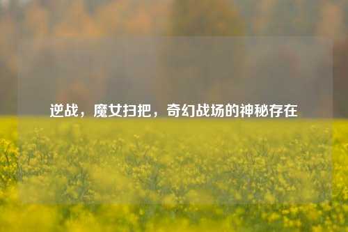 逆战，魔女扫把，奇幻战场的神秘存在