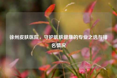 徐州皮肤医院，守护肌肤健康的专业之选与排名情况