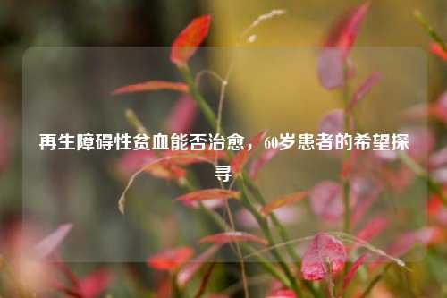 再生障碍性贫血能否治愈，60岁患者的希望探寻