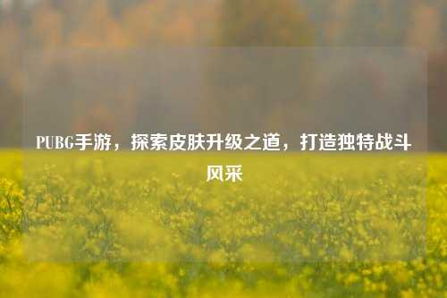 PUBG手游，探索皮肤升级之道，打造独特战斗风采