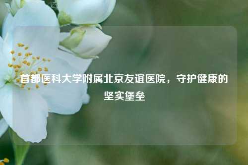 首都医科大学附属北京友谊医院，守护健康的坚实堡垒