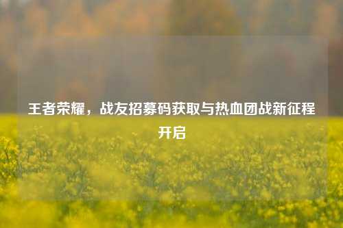 王者荣耀，战友招募码获取与热血团战新征程开启