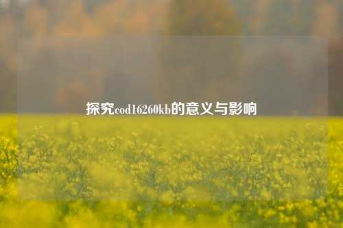 探究cod16260kb的意义与影响