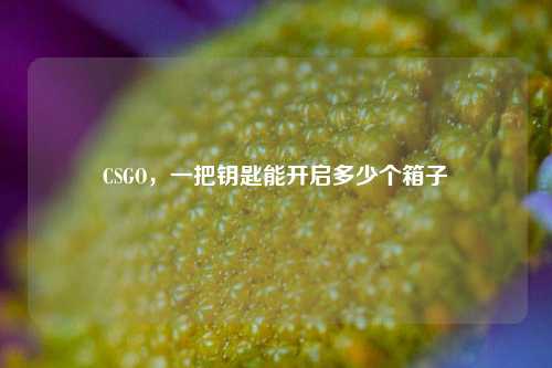 CSGO，一把钥匙能开启多少个箱子