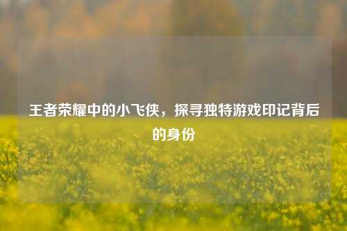王者荣耀中的小飞侠，探寻独特游戏印记背后的身份