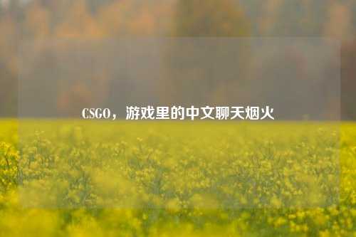 CSGO，游戏里的中文聊天烟火
