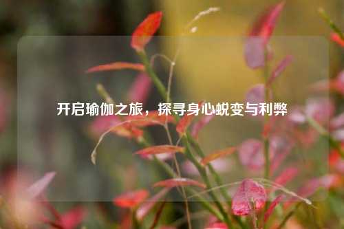 开启瑜伽之旅，探寻身心蜕变与利弊