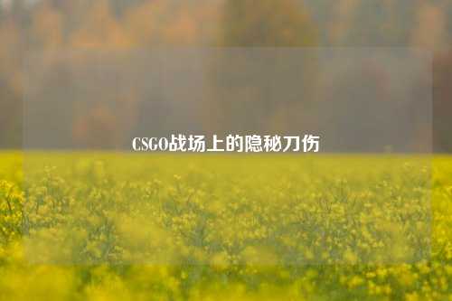 CSGO战场上的隐秘刀伤