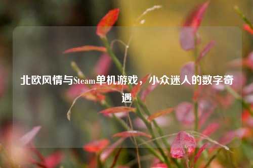 北欧风情与Steam单机游戏，小众迷人的数字奇遇