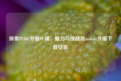 探索PUBG外服PC端，魅力与挑战及mobile外服下载安装
