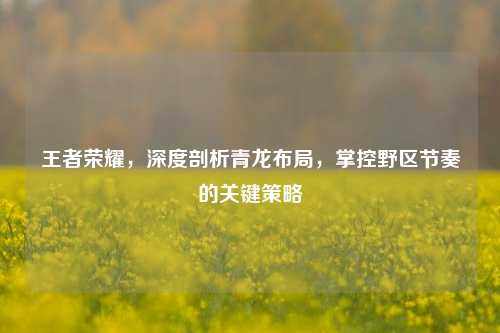 王者荣耀，深度剖析青龙布局，掌控野区节奏的关键策略