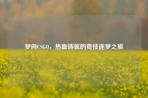 梦向CSGO，热血铸就的竞技逐梦之旅