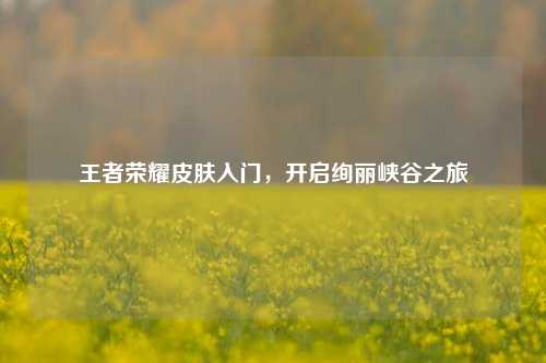 王者荣耀皮肤入门，开启绚丽峡谷之旅