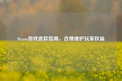 Steam游戏退款指南，合理维护玩家权益