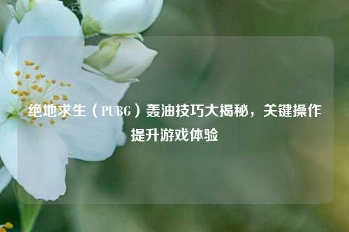 绝地求生（PUBG）轰油技巧大揭秘，关键操作提升游戏体验