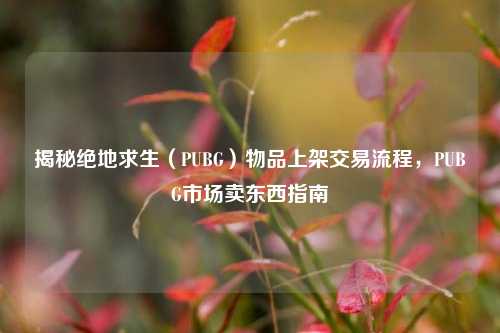 揭秘绝地求生（PUBG）物品上架交易流程，PUBG市场卖东西指南