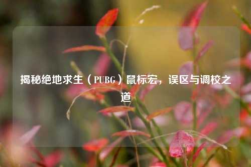 揭秘绝地求生（PUBG）鼠标宏，误区与调校之道