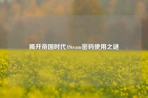 揭开帝国时代4Steam密码使用之谜