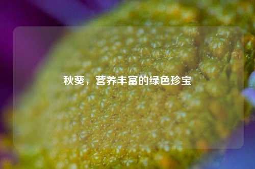 秋葵，营养丰富的绿色珍宝