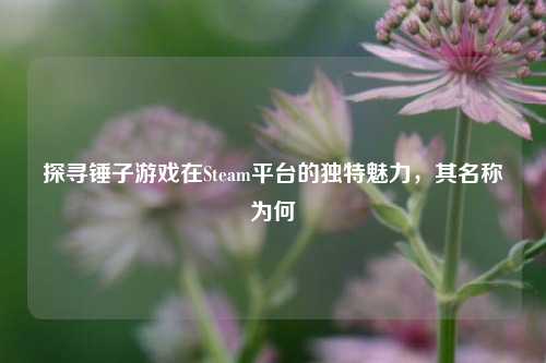 探寻锤子游戏在Steam平台的独特魅力，其名称为何