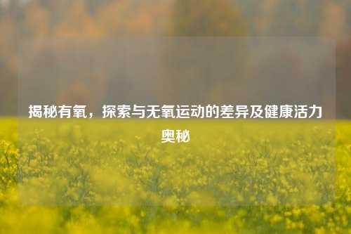 揭秘有氧，探索与无氧运动的差异及健康活力奥秘