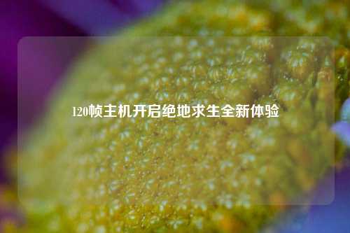 120帧主机开启绝地求生全新体验