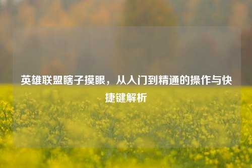 英雄联盟瞎子摸眼，从入门到精通的操作与快捷键解析
