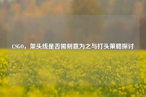 CSGO，架头线是否需刻意为之与打头策略探讨