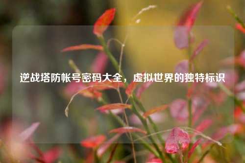 逆战塔防帐号密码大全，虚拟世界的独特标识