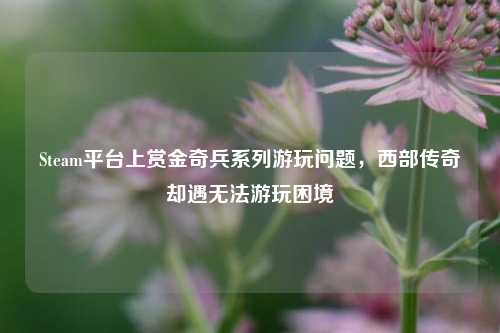 Steam平台上赏金奇兵系列游玩问题，西部传奇却遇无法游玩困境