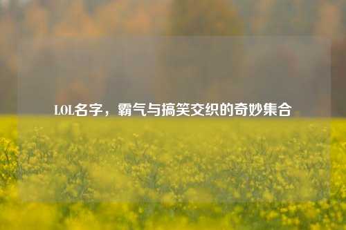 LOL名字，霸气与搞笑交织的奇妙集合