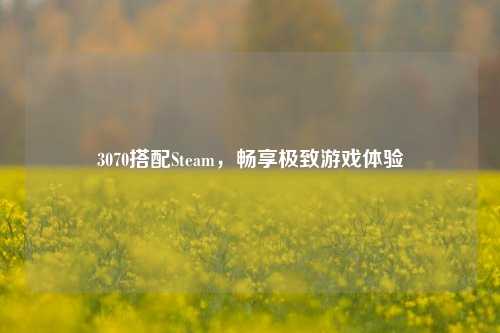 3070搭配Steam，畅享极致游戏体验