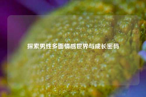 探索男性多面情感世界与成长密码