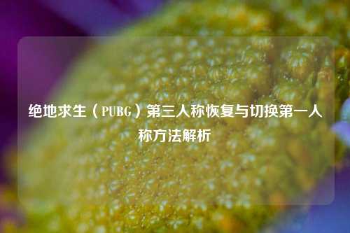 绝地求生（PUBG）第三人称恢复与切换第一人称方法解析