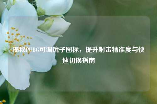 揭秘PUBG可调镜子图标，提升射击精准度与快速切换指南