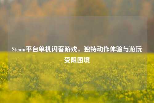 Steam平台单机闪客游戏，独特动作体验与游玩受阻困境