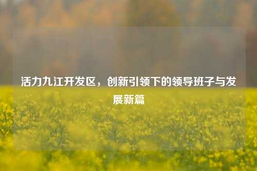 活力九江开发区，创新引领下的领导班子与发展新篇