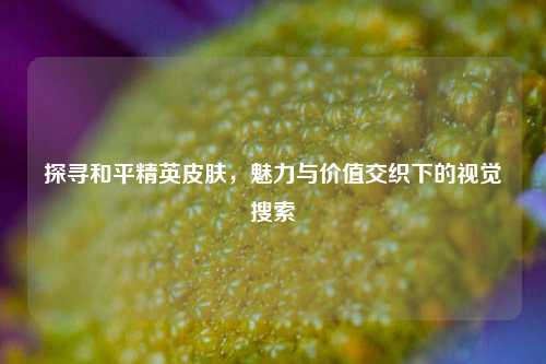 探寻和平精英皮肤，魅力与价值交织下的视觉搜索