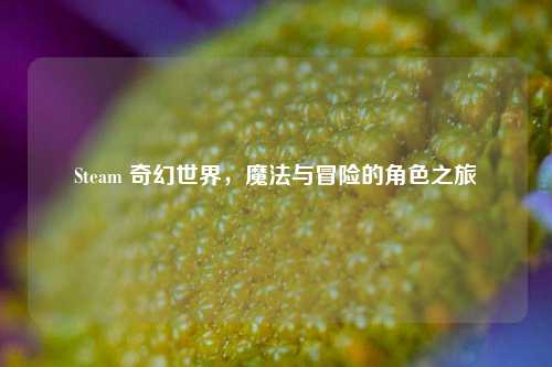Steam 奇幻世界，魔法与冒险的角色之旅
