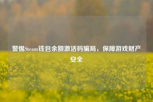 警惕Steam钱包余额激活码骗局，保障游戏财产安全