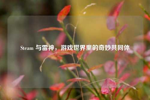 Steam 与雷神，游戏世界里的奇妙共同体