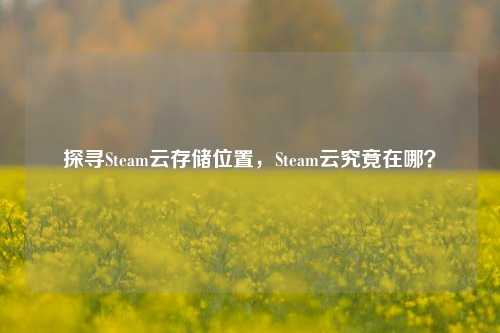 探寻Steam云存储位置，Steam云究竟在哪？