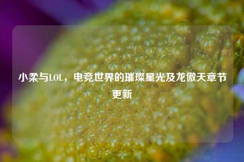 小柔与LOL，电竞世界的璀璨星光及龙傲天章节更新