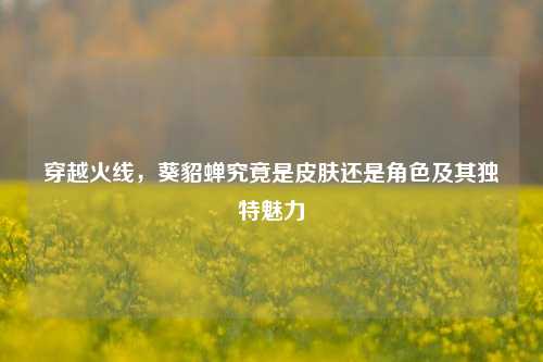 穿越火线，葵貂蝉究竟是皮肤还是角色及其独特魅力