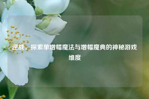 逆战，探索单增幅魔法与增幅魔典的神秘游戏维度
